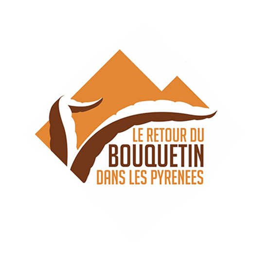 Logo - Le retour du bouquetin dans les pyrénées