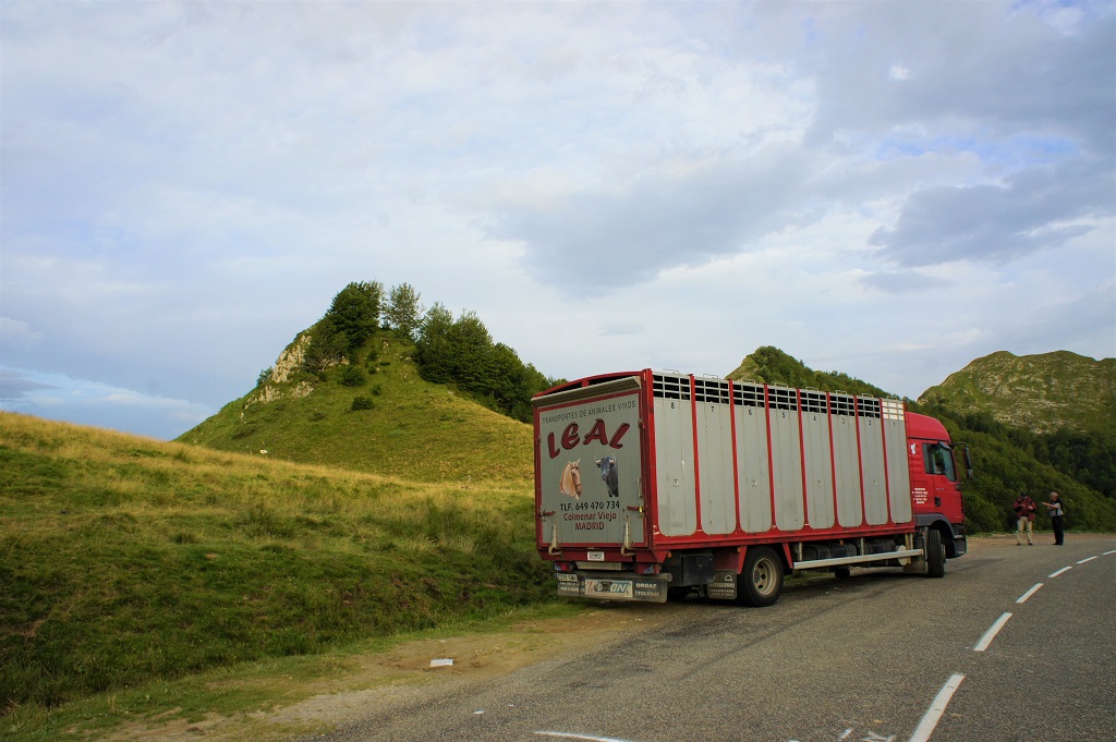 Lâcher de bouquetins au Col d'Agnes le 19 juillet 2017 Lâcher de bouquetins au Col d'Agnes le 19 juillet 2017 avec le camion de transport des animaux et le site de lâcher