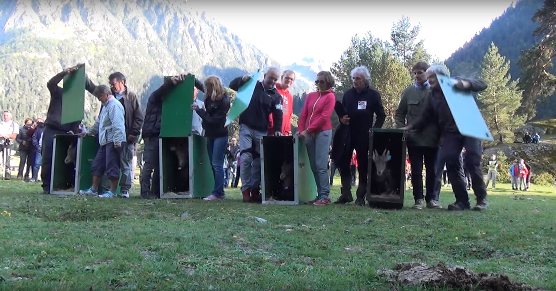 Les donateurs relâchent leurs bouquetins